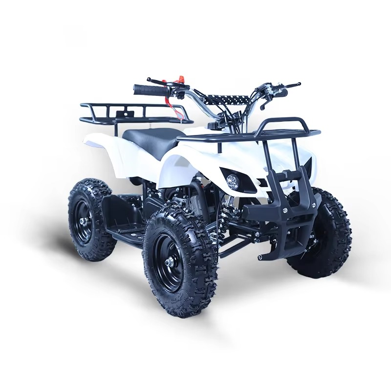 49cc Mini ATV Çocuklar İçin 2  - Kids Outdoor Quad incelemesi ve fiyatı